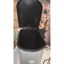 Rotho Paso kanta za smeće, 50L, srebrna FA437