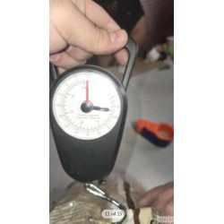COMPO BIO aktivator zemljišta za travnjake, 10 kg,za 133m2