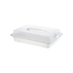 Rotho Cool & Fresh transportna kutija, bela, 43.5x29.5x11 cm