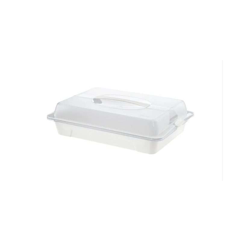 Rotho Cool & Fresh transportna kutija, bela, 43.5x29.5x11 cm Rotho Cool & Fresh transportna kutija, bela, 43.5x29.5x11 cm