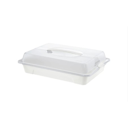 Rotho Cool & Fresh transportna kutija, bela, 43.5x29.5x11 cm