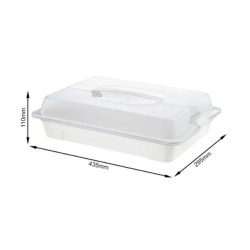 Rotho Cool & Fresh transportna kutija, bela, 43.5x29.5x11 cm