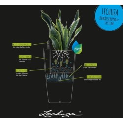 Lechuza CILINDRO Color 32 ALL-IN-ONE saksija, 32x56cm