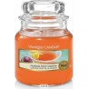 Yankee Candle Passion Fruit Martini, 104 g