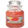 Yankee Candle Passion Fruit Martini, 104 g