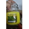 Yankee Candle White Tea, 411g