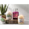 Yankee Candle White Tea, 411g