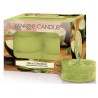 Yankee Candle Lime & Coriander 12 x 9,8 g