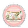 Yankee Candle Scenterpiece Easy MeltCup Rainbow Cookie, 61g