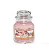Yankee Candle Summer Scoop, 104g