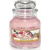 Yankee Candle Summer Scoop, 104g