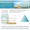Yankee Candle Viva Havana, 104 gr